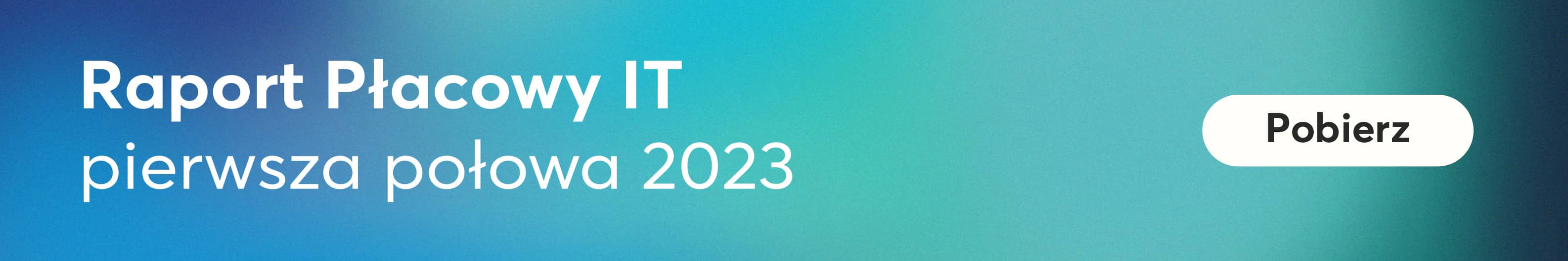 Raport Płacowy IT baner
